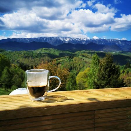 ホテル Glamping Zazen Drumu Carului エクステリア 写真