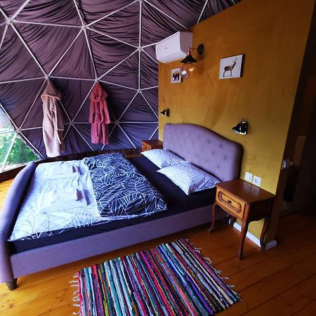 ホテル Glamping Zazen Drumu Carului エクステリア 写真
