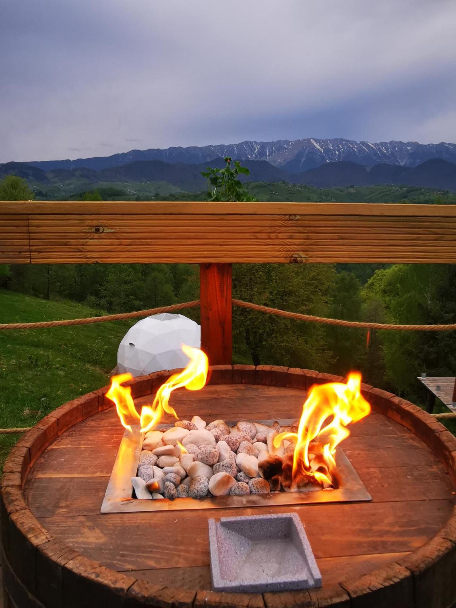 ホテル Glamping Zazen Drumu Carului エクステリア 写真