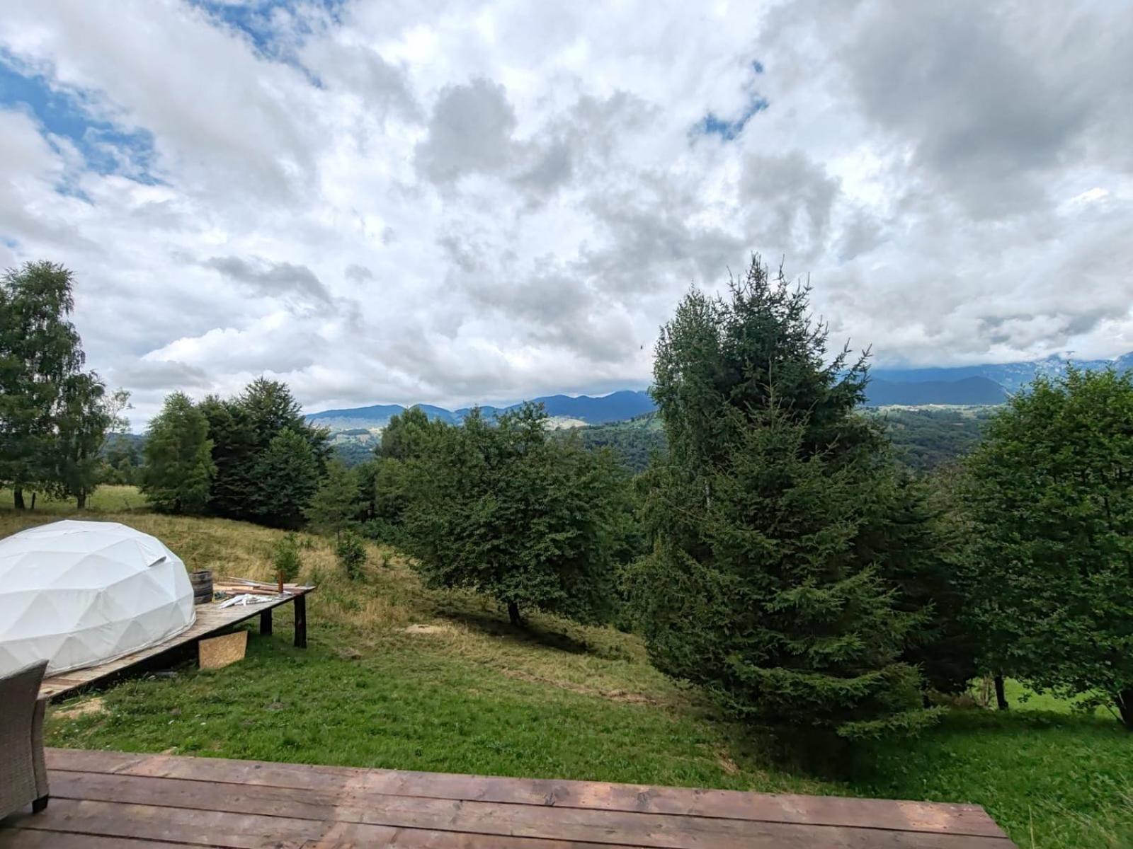 ホテル Glamping Zazen Drumu Carului エクステリア 写真